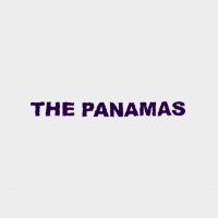 The Panamas(@ThePanamasBand) 's Twitter Profile Photo