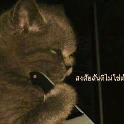 TKurozawa0025's profile picture. อันเก่าเข้าไม่ได้ แง