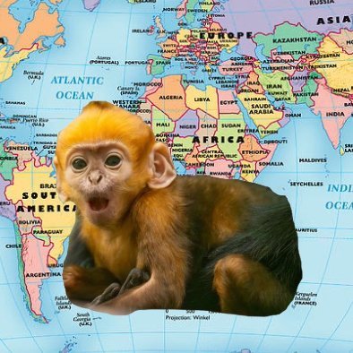 BuluWorldwide's profile picture. BULU the cutest monkey on Solana. Here to unite all Nations!

https://t.co/NgUerp7q9X