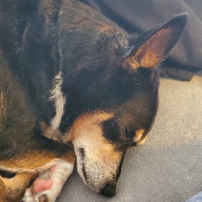 jasamc's profile picture. Retired military, corporate manager, aspiring author.  I think that pretty much covers it.  Oh, and unrelenting smartass (according to my late father)
