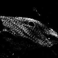 SHAPE (@shape_msca) 's Twitter Profile