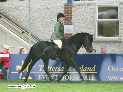 thorsesmurphy's profile picture. Ride Horses, Cut Hair & Love food!! :)