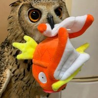 XERORCK (@psychozero7) 's Twitter Profile