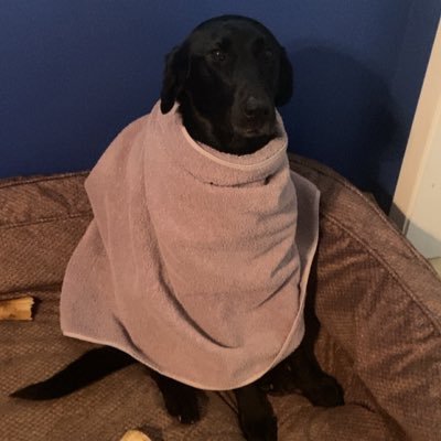 BreardDaniel's profile picture. La Tech ‘26