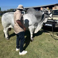 Fisokuhle Mbatha (@fisombatha) 's Twitter Profile