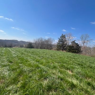 lovemendo21's profile picture. 