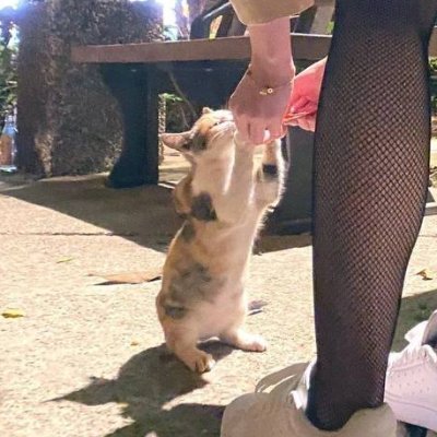 GorkemBura98454's profile picture. 