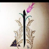 Elif (@elifan81) 's Twitter Profile