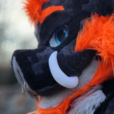 Boss hog | The Big Pig in NC | 34 | Partnered to @ZIGGYbeann | Suit by @Sittin_Kitten | Owner of @BarkSideStore