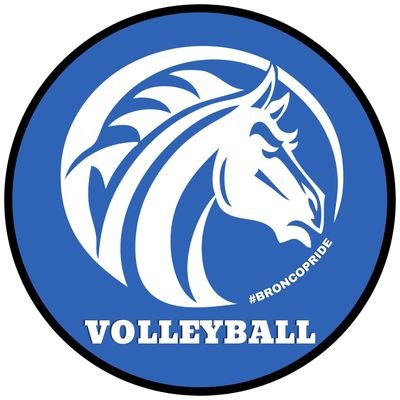 Fayetteville State Volleyball Profile