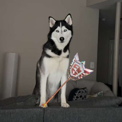 fireking_wyd's profile picture. Professional Fortnite player.