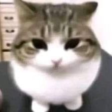 Santiagoさんのプロフィール画像
