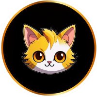 CATX (@catxtoken) 's Twitter Profile
