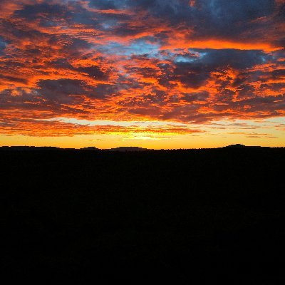 ericlbuehler's profile picture. 