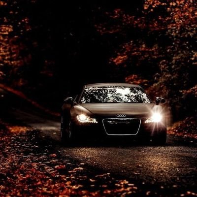 _يظل المرء جميلاً حتى يخذل
فيصبح باهتاً
ولكنهُ يعود اجمل عندما يتجاوز