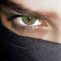 Quasar_Sgt (@quasarsgt) 's Twitter Profile