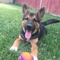 danny (@danny_559) 's Twitter Profile Photo