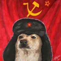 The Meme Thief (@memethi23179648) 's Twitter Profile Photo