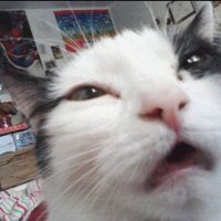 🌸 (@noonchis) 's Twitter Profile Photo 🌸 (@noonchis) 's Twitter Profile Photo
