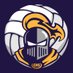 Castle Volleyball (@castlevball) Twitter profile photo Castle Volleyball (@castlevball) Twitter profile photo