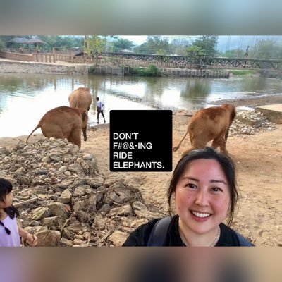 steph_fig's profile picture. proud pachyderm parent of four | elephant advocate (african & asian) | DON’T F@#%ING RIDE ELEPHANTS