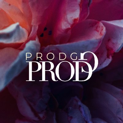 ProDG_XYZ's profile picture. On The Path To Greatness