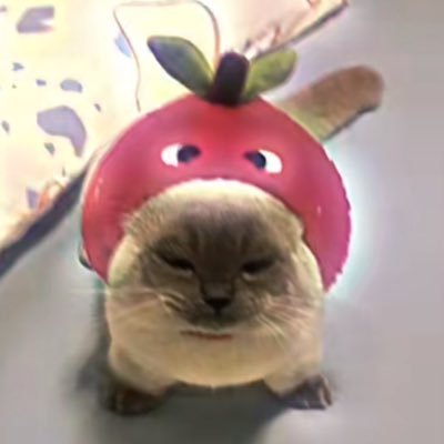 nebunamowo's profile picture. América ya :3