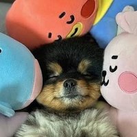 あいり (@monbebe1203) 's Twitter Profile Photo あいり (@monbebe1203) 's Twitter Profile Photo