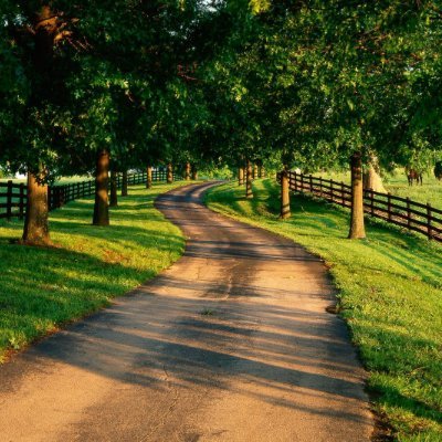 2001Avant's profile picture. 