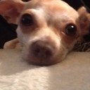 jon colburn - @ColburnJon - Twitter