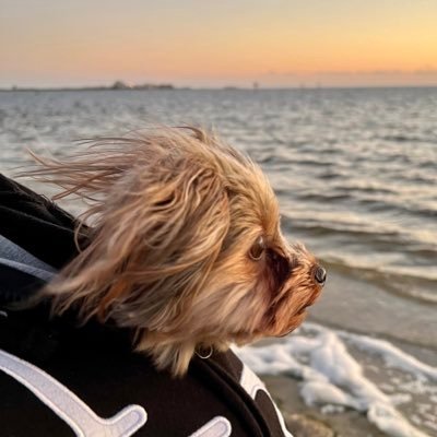 ThatEnd62965's profile picture. enjoy live striming
