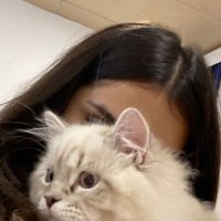 @ (@licicil) Twitter profile photo