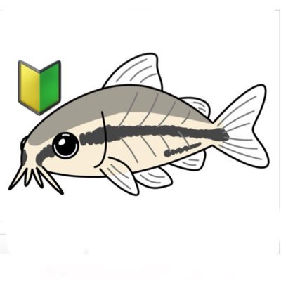 JJUJ1Xjk6y8VYJW's profile picture. 色々忙しくてかなり低浮上。よろしくお願いします！