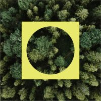 Portal Bosque (@portalbosque_) 's Twitter Profile