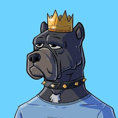 ZorolivesSOL's profile picture. Sol Degen / Hunter