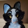 memesfromarthur's profile picture. I am never beating these allegations

Sometimes a cat. Sometimes a wah.
✂️ @furfuresh