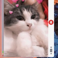 efji (@pinklavaf) 's Twitter Profile Photo efji (@pinklavaf) 's Twitter Profile Photo