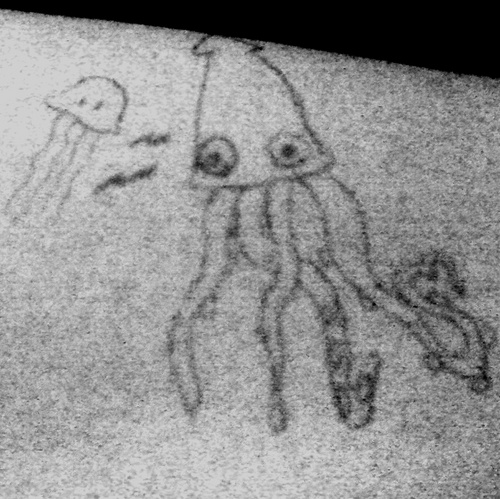 SqudQueerSquid's profile picture. Born in the sea. Happy and free. Just like you and me. Squd.