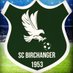 SC Birchanger (@scbirchanger) Twitter profile photo