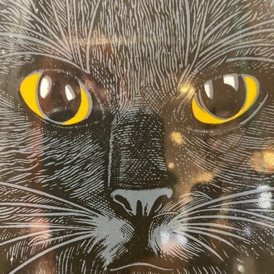 Catattim's profile picture. critical thinker