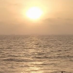 QuietLiker's profile picture. Nothing