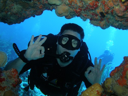 oddswiz's profile picture. Entrepreneur, Dad, Dive instructor, fan of improving the future by helping children