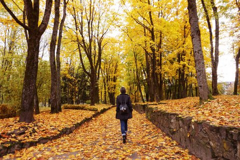 12. Today is fine, tomorrow is worry-free, autumn and winter are long, you and I are all good.🌺🌺