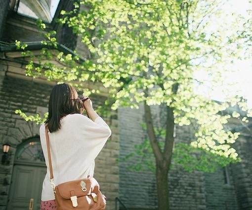 8. You must love something, just like the love of grass and trees for time. Life without hobbies is too boring.🌾🌾
