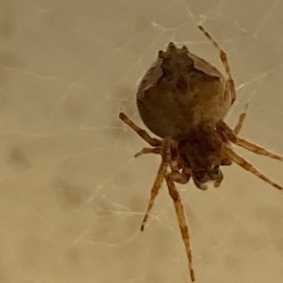 adysonlee's profile picture. 