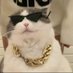 别吵我睡觉 (@bcwsj11) Twitter profile photo 别吵我睡觉 (@bcwsj11) Twitter profile photo