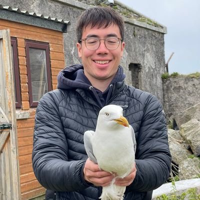 Birding, ringing, gulls, illustration. Postdoc studying vibration sensing @UniofOxford.