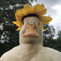 Доставка из Китая отправка в страны СНГ. (@ak__jerry) 's Twitter Profile