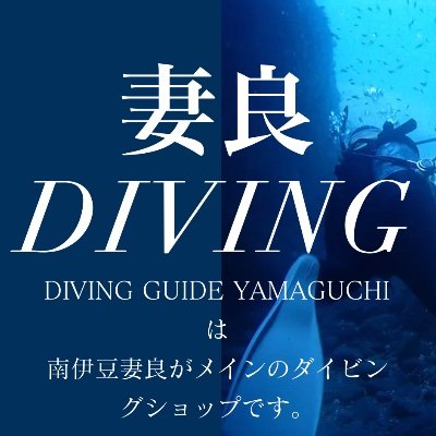 静岡県賀茂郡南伊豆町妻良にある妻良港発のボートダイビングをメインにご案内しております現地型ダイビングショップです🐟妻良の海でできる事日々追い求めています。