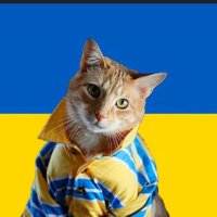 🇺🇦 Stop de agenda 1933! 🇺🇦(@Pera19711) 's Twitter Profile Photo